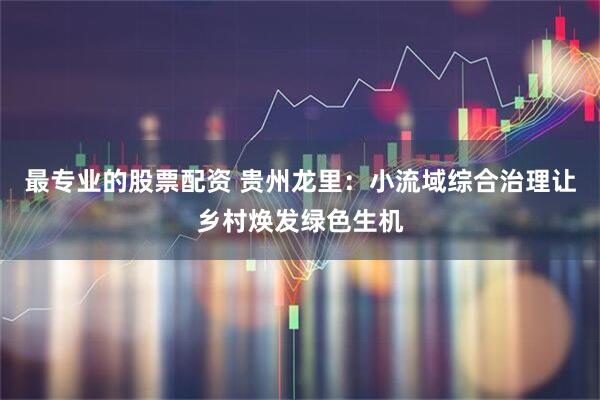 最专业的股票配资 贵州龙里：小流域综合治理让乡村焕发绿色生机