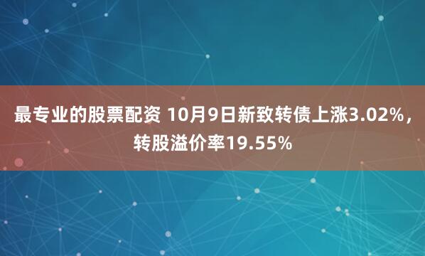 最专业的股票配资 10月9日新致转债上涨3.02%，转股溢价率19.55%