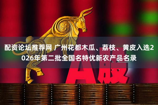 配资论坛推荐网 广州花都木瓜、荔枝、黄皮入选2026年第二批全国名特优新农产品名录